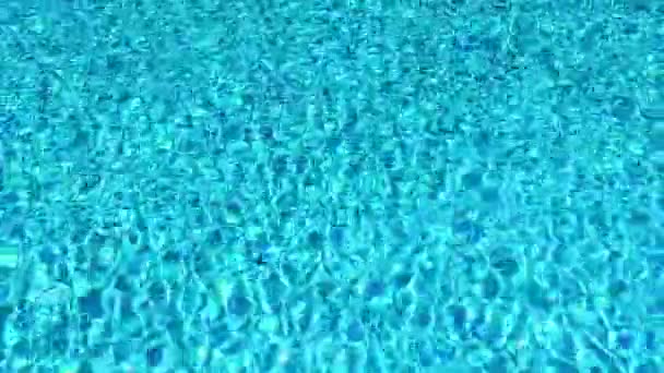 Piscine avec eau bleue cristalline comme vacances d'été et vacances au paradis tropical au bord de la piscine b-roll fond — Video