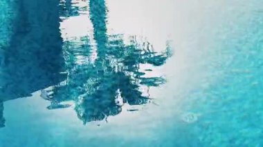 Kristal mavi suyla yüzme havuzu. Palmiye ağacı yansıması. Yaz tatili ve havuz kenarında tropik cennet tatili.