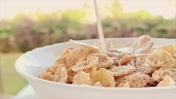 Nalévání mléka do misky cereálií ve zpomaleném pohybu, snídaně venku v létě — Stock video