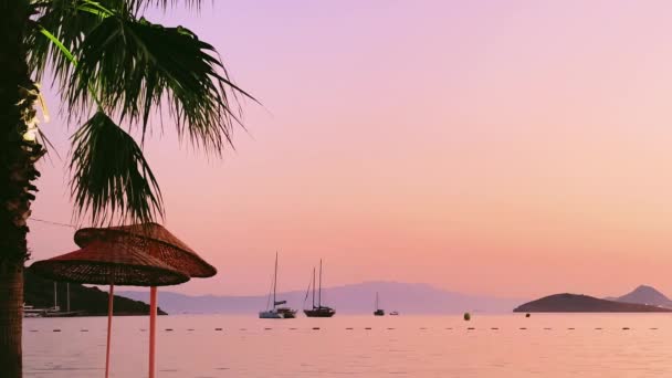 Výhled na pobřeží při západu slunce, palmy, slunečník, moře a hory, letní dovolená a destinace pro cestování b-roll — Stock video