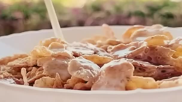 Verter la leche en un tazón de cereales en cámara lenta, desayunar al aire libre en verano — Vídeos de Stock