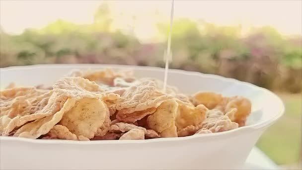 Häll mjölk i skålen med spannmål i slow motion effekt, frukost utomhus på sommaren — Stockvideo