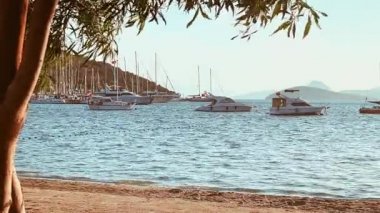 Plaj, seyahat ve doğa konsepti, zeytin ağacı, deniz, kayıklar ve gün batımında dağlar