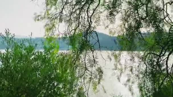 沿岸の自然と環境の概念。海、山、緑の葉 — ストック動画