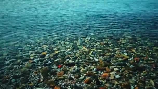 Vagues de plage et concept de nature côtière. fonds marins de galets sous l'eau claire de la mer — Video