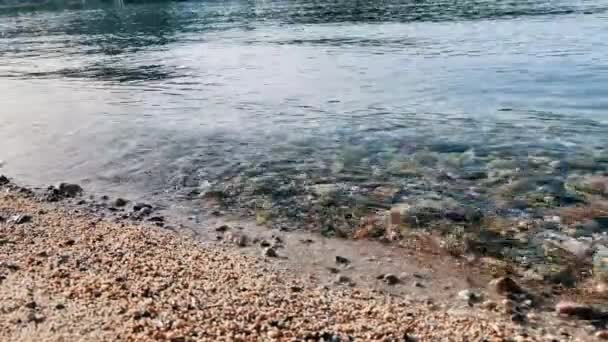 Vagues de plage et concept de nature côtière. fonds marins de galets sous l'eau claire de la mer — Video