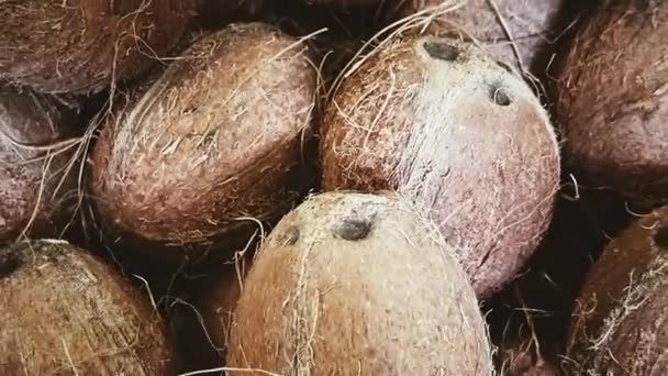 Food, agriculture and organic concept, exotic coconuts as whole fruits for sale in eco supermarket — Stock Video