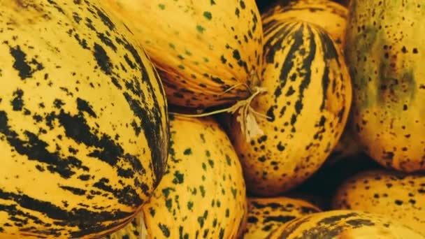 食品、农业和有机概念，成熟的甜瓜作为整体，在生态超级市场销售 — 图库视频影像