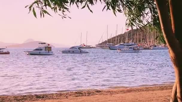 Praia, viagem e conceito de natureza, oliveira, mar, barcos e montanhas ao pôr do sol — Vídeo de Stock