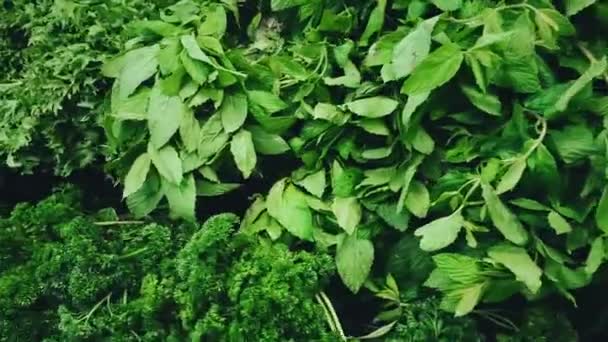 Grüne, Supermarkt und Bio, Konzept, grünes Blattgemüse und Kräutersortiment zum Verkauf auf dem Öko-Bauernmarkt — Stockvideo