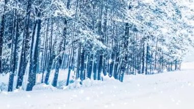 Kış harikalar diyarı ve kar yağan Noel manzarası. Ormanda kar yağışı, tatil arka planı olarak karla kaplı ağaçlar.