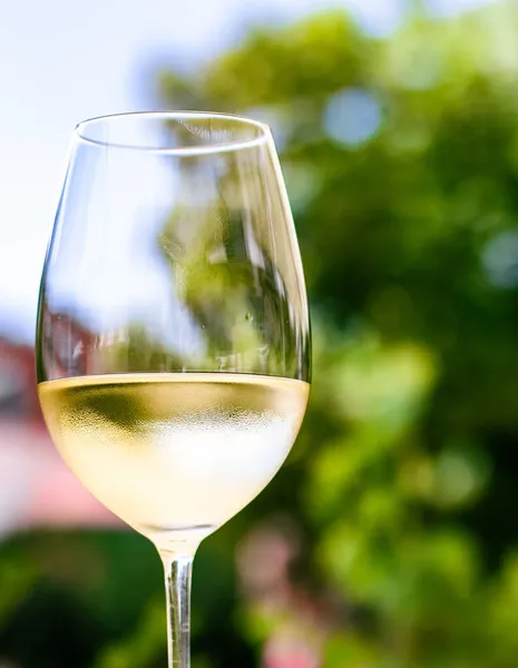 Vitt vin i lyxrestaurang på sommarträdgård terrass, vinprovning erfarenhet på vingård i vingården, gourmetresa och semesterresor — Stockfoto