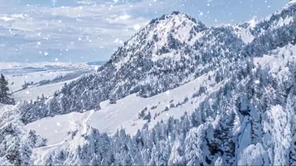 Pays des merveilles hivernales et paysage de Noël neigeux. Chute de neige dans les montagnes et la forêt couverte de neige comme fond de vacances — Video