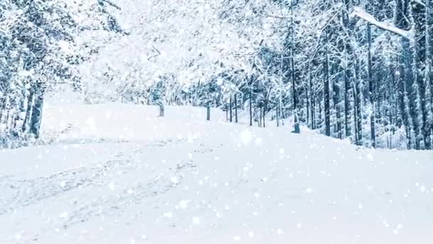 Winterwunderland und verschneite Weihnachtslandschaft. Schneefall im Wald, schneebedeckte Bäume als Urlaubshintergrund — Stockvideo