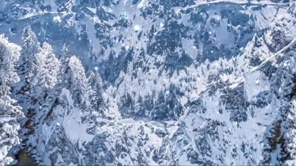 Winter wonderland and snowing Christmas landscape. Snowfall in mountains and forest covered with snow as holiday background — Stock Video