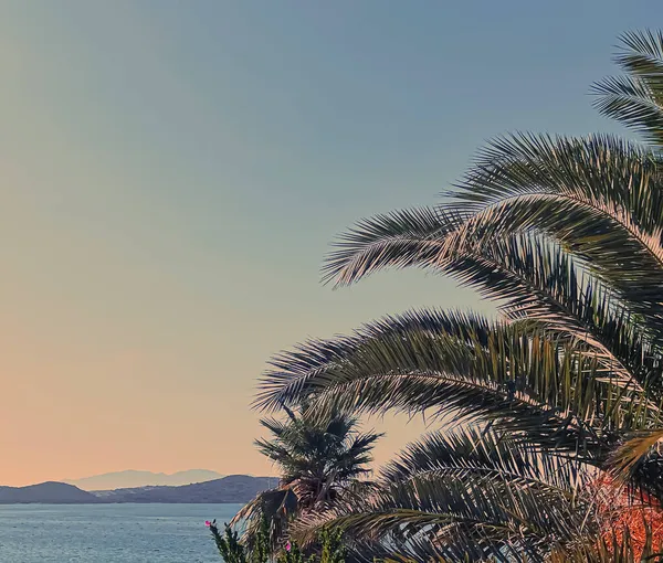 Vintage Riviera en zomer reisconcept. Zee, bergen, palmbomen en witte strandparasols als kustlandschap en vakantiebestemming — Stockfoto