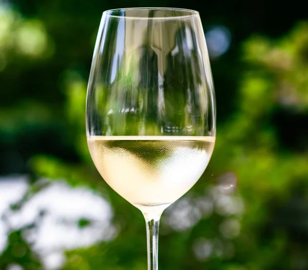 Weißwein im Luxusrestaurant auf Sommergartenterrasse, Weinverkostung im Weingut im Weinberg, Gourmettour und Urlaubsreise — Stockfoto
