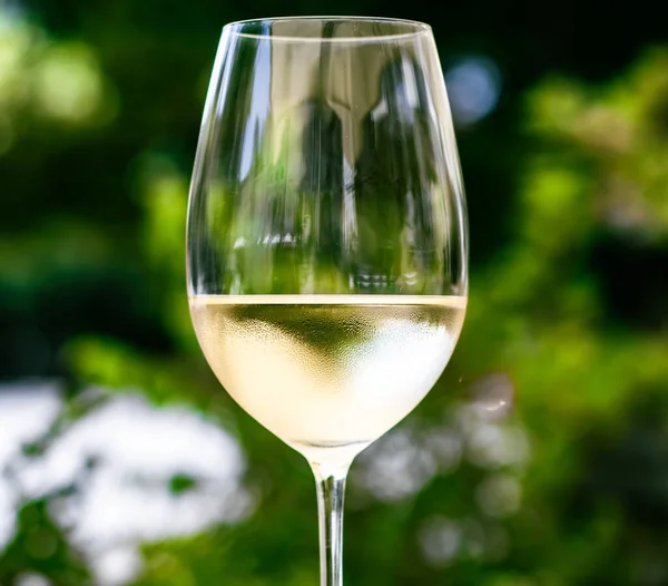 Vinho branco em restaurante de luxo no terraço do jardim de verão, experiência de degustação de vinhos na vinícola, passeio gourmet e viagem de férias — Fotografia de Stock