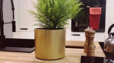Ev dekorasyonu ve iç dizayn konsepti. Modern mutfak gereçleri, mobilyalar, mutfak gereçleri ve ev yenileme projesi olarak sofra takımı
