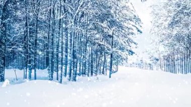Kış harikalar diyarı ve kar yağan Noel manzarası. Ormanda kar yağışı, tatil arka planı olarak karla kaplı ağaçlar.