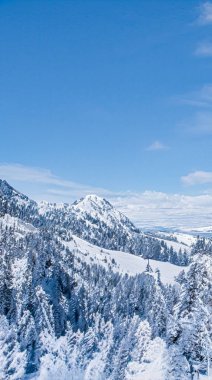 Kış harikalar diyarı ve büyülü Noel manzarası. Karlı dağlar ve ormanlar tatil arka planı olarak karla kaplı.