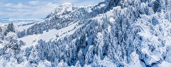 Zimní říše divů a vánoční krajina. Sněžný les, stromy pokryté sněhem jako rekreační zázemí — Stock fotografie