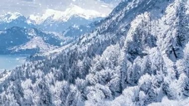 Kış harikalar diyarı ve kar yağan Noel manzarası. Dağlarda kar yağışı ve tatil arka planı olarak karla kaplı bir orman.