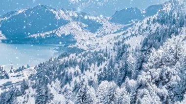 Kış harikalar diyarı ve kar yağan Noel manzarası. Dağlarda kar yağışı ve tatil arka planı olarak karla kaplı bir orman.