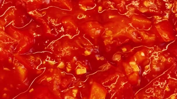 Gotowanie Papryki Pomidory Czosnku Cebuli Oleju Organicznego Patelni Żeliwnej Sosem — Wideo stockowe