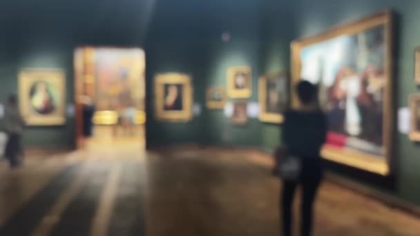 Vaag Museum Galerie Interieur Kunstgeschiedenis Cultuur Concept — Stockvideo