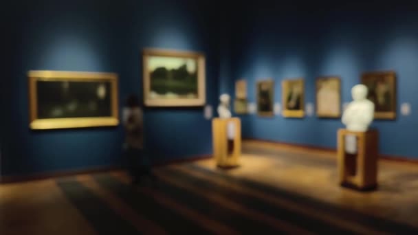 Blurred Museum Gallery Interior Art History Culture Concept — Stock Video