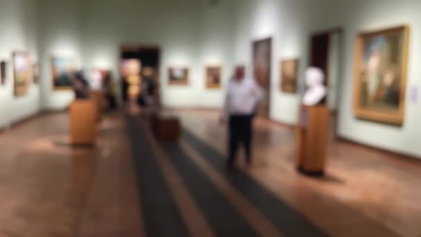 Rozmazaný Interiér Galerie Muzea Historie Umění Kulturní Koncepce — Stock video
