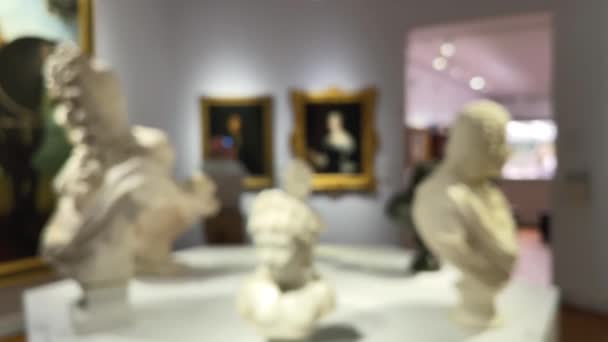 Bulanık Müze Içi Sanat Tarihi Kültür Konsepti — Stok video