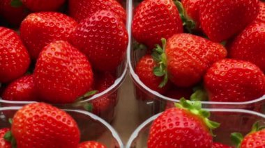 Strawberries packaged in box, sweet ripe perfect strawberry harvest, organic garden and agriculture concept