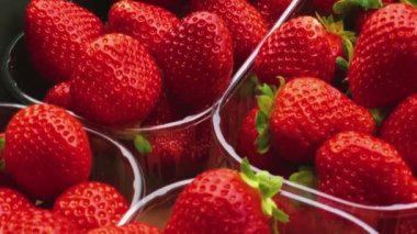 Strawberries packaged in box, sweet ripe perfect strawberry harvest, organic garden and agriculture concept