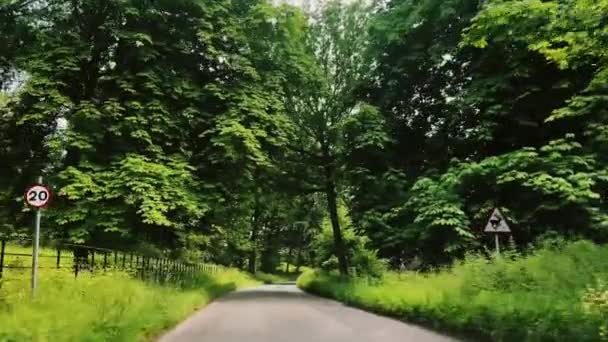 Driving Countryside Road Beautiful Summer Forest Hertfordshire England Nature Environment — ストック動画