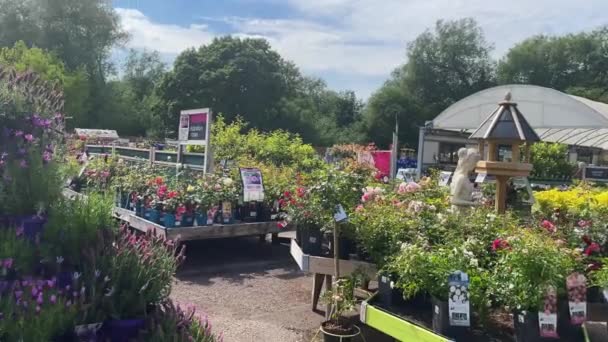 Hertfordshire England June 2022 Beautiful Garden Centre Outdoor Shopping Store — Vídeo de stock