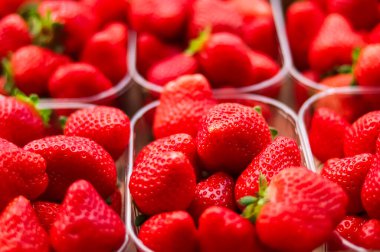 Strawberries packaged in box, sweet ripe perfect strawberry harvest, organic garden and agriculture concept