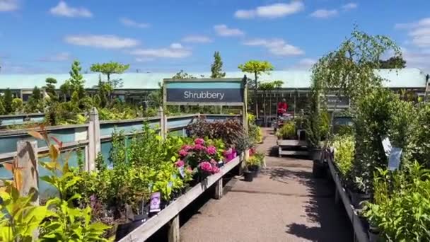 Hertfordshire England June 2022 Beautiful Garden Centre Outdoor Shopping Store — Stock video