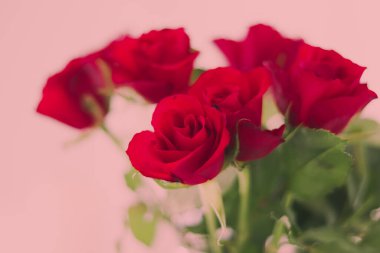 Tender bouquet of red roses, floral gift and beautiful flowers closeup