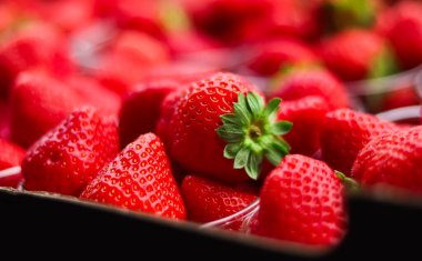 Strawberries packaged in box, sweet ripe perfect strawberry harvest, organic garden and agriculture concept