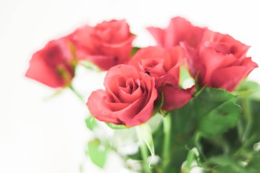 Tender bouquet of roses, floral gift and beautiful flowers closeup