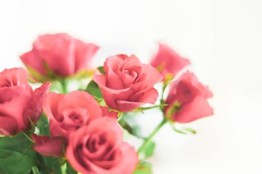 Tender bouquet of roses, floral gift and beautiful flowers closeup
