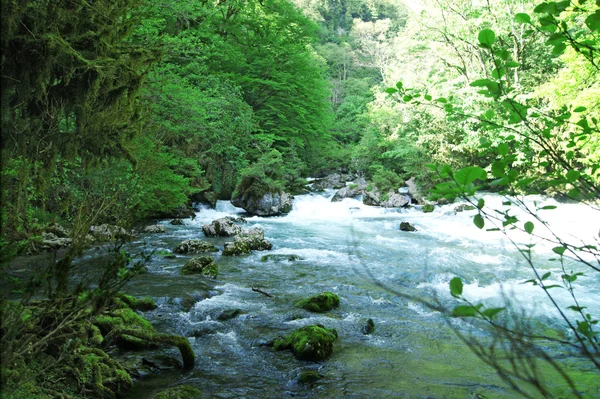 El río de montaña en Abjasia — Foto de Stock