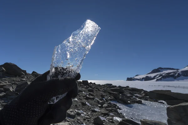 Glace antarctique — Photo