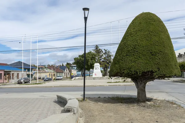 Tree on the street of Punta Arenas, Chile — Stock Photo, Image
