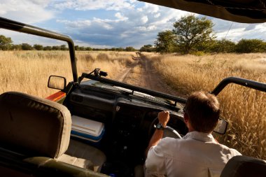 Araba, safari, Namibya