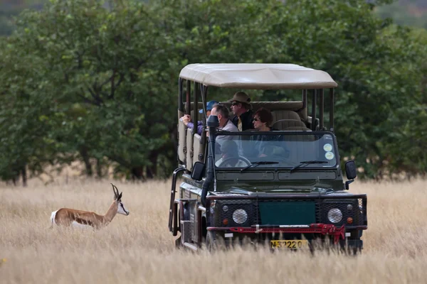 Safari in namibia, afrika — Stockfoto