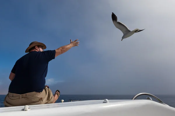 Bootsfahrt, Atlantik, Namibia — Stockfoto