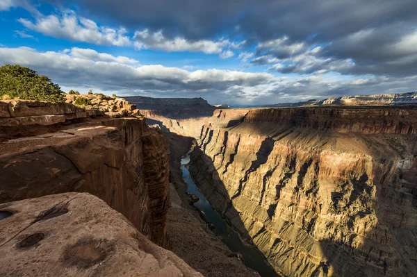 Colorado river en grand canyon op toroweap — Stockfoto